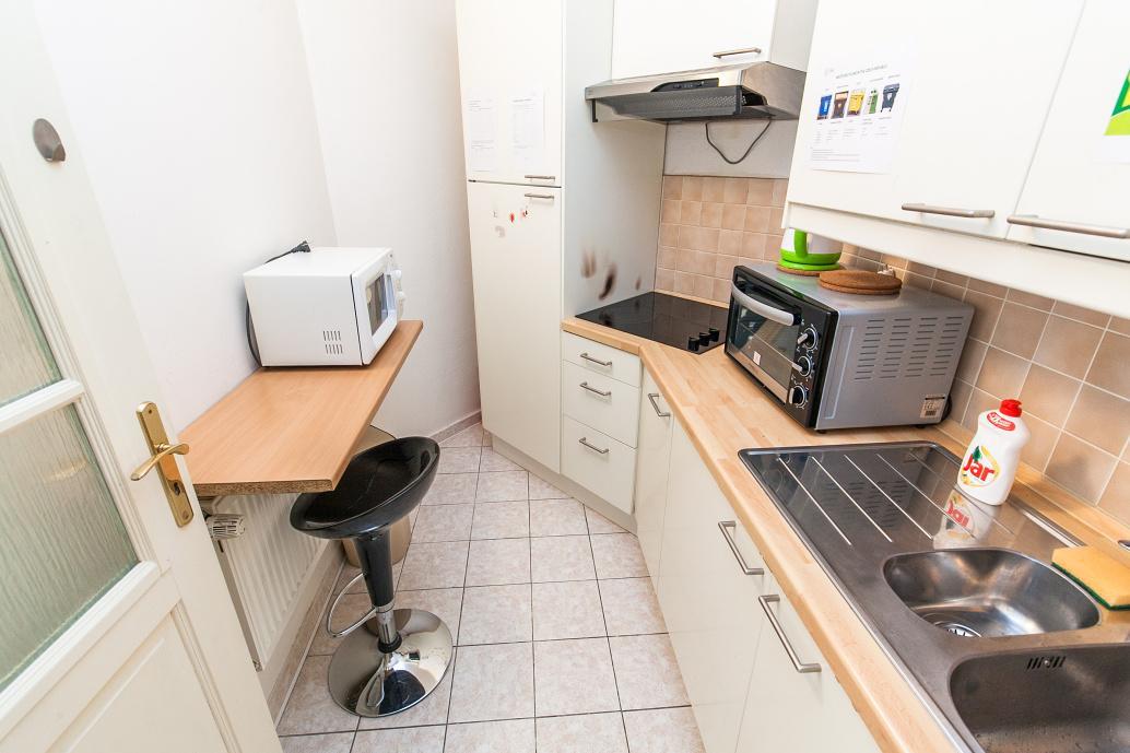 Zizkov Tower Apartment *